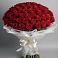 Букет 101 Красная роза Блэк Мэджик в Ерзовке