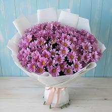 Букет цветов из:  Хризантемы в Ерзовке