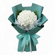 Букет цветов из:  Гортензия в Ерзовке